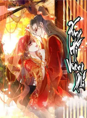 Ảnh truyện Xung Hỉ Vương Phi